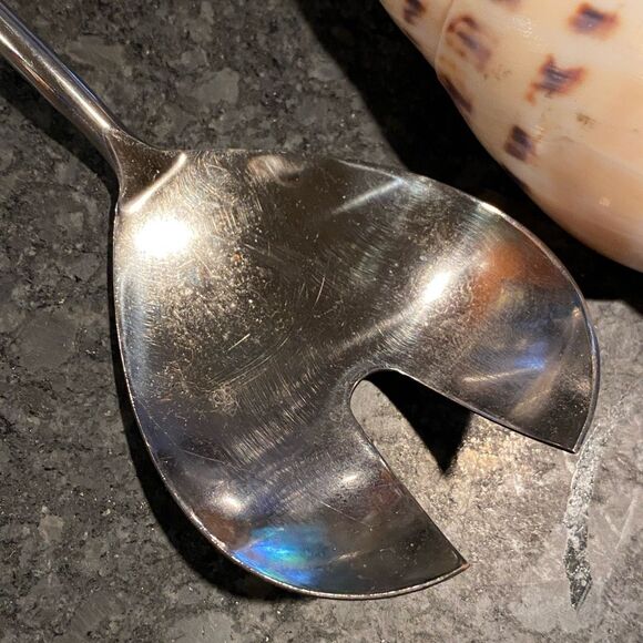 Shell Handle Serving Set Marlin Spike Auger Seashell - Picture 5 of 10